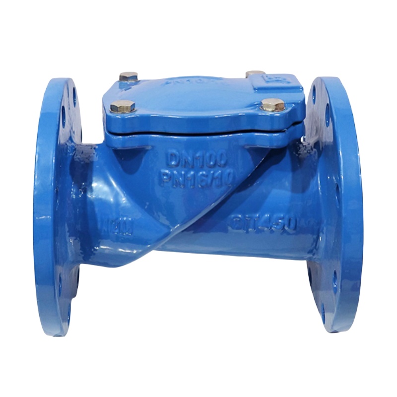 Check valve