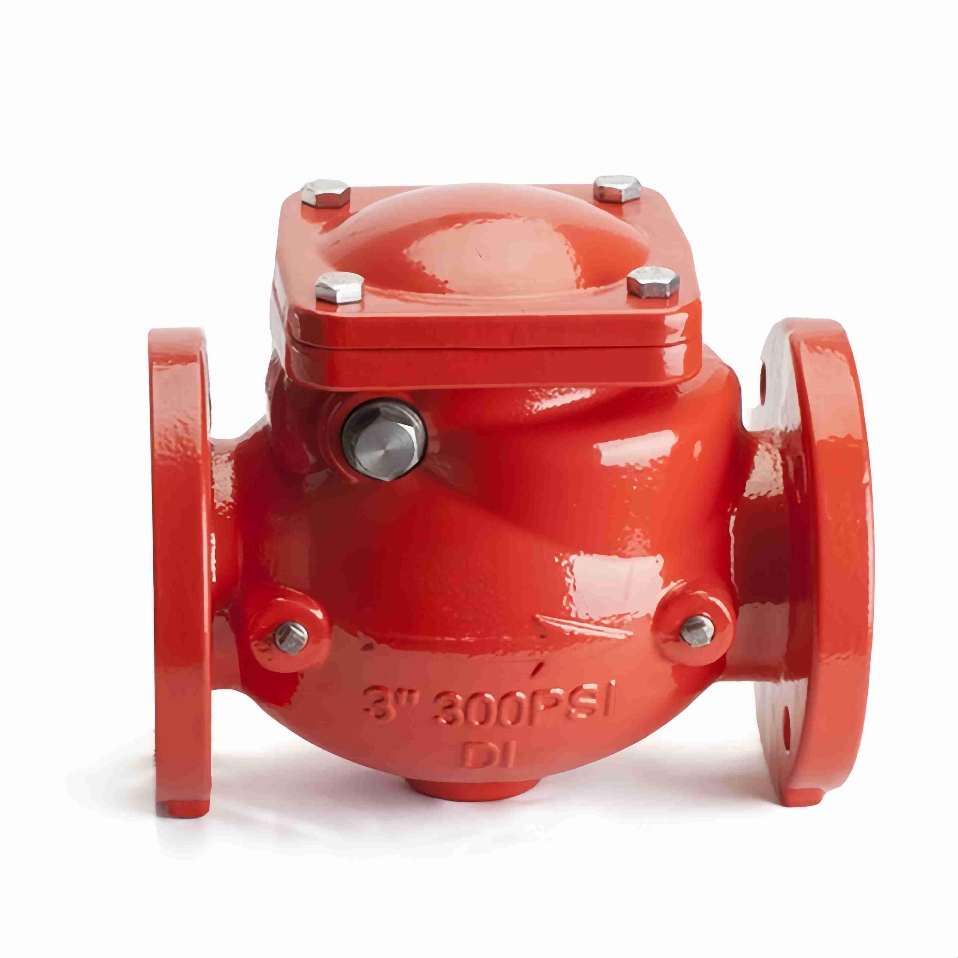 Swing Check Valve